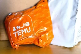 Еврокомиссар призвал к жестким мерам против токсичных товаров с Shein и Temu