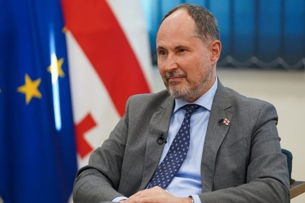 В Грузии призвали выдворить из страны посла ЕС Герчинского