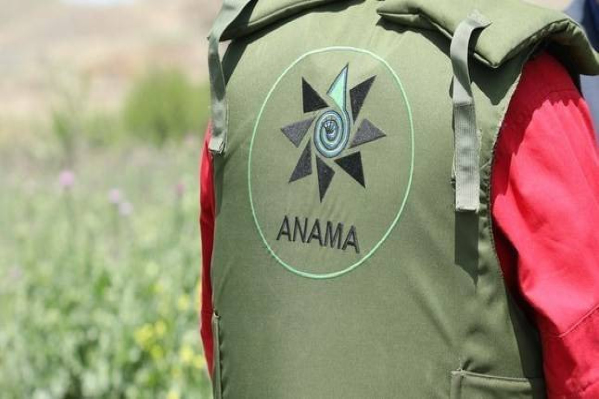 ANAMA: более 2.400 мин и боеприпасов обезврежены в мае