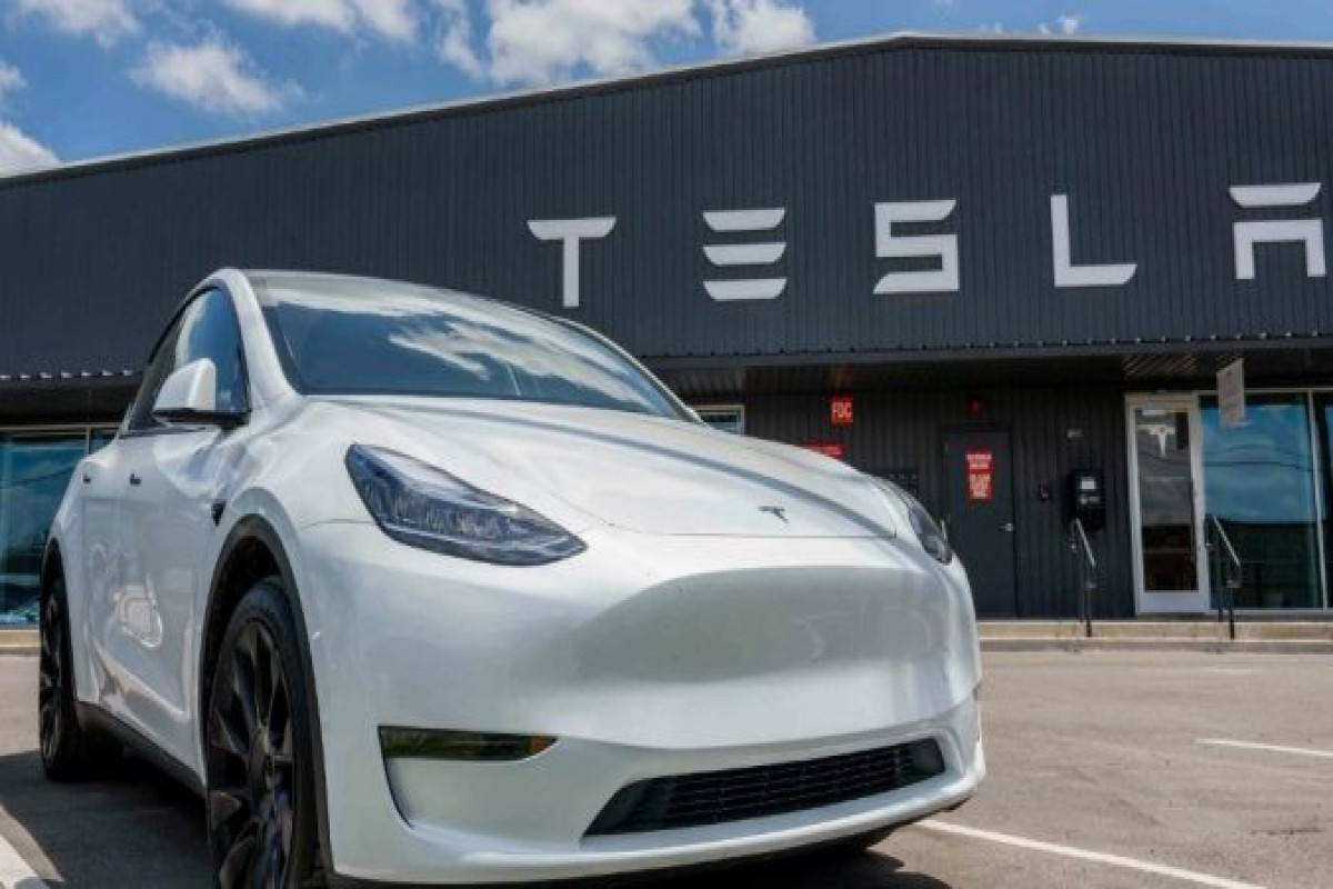 Продажи Tesla в Великобритании рухнули
