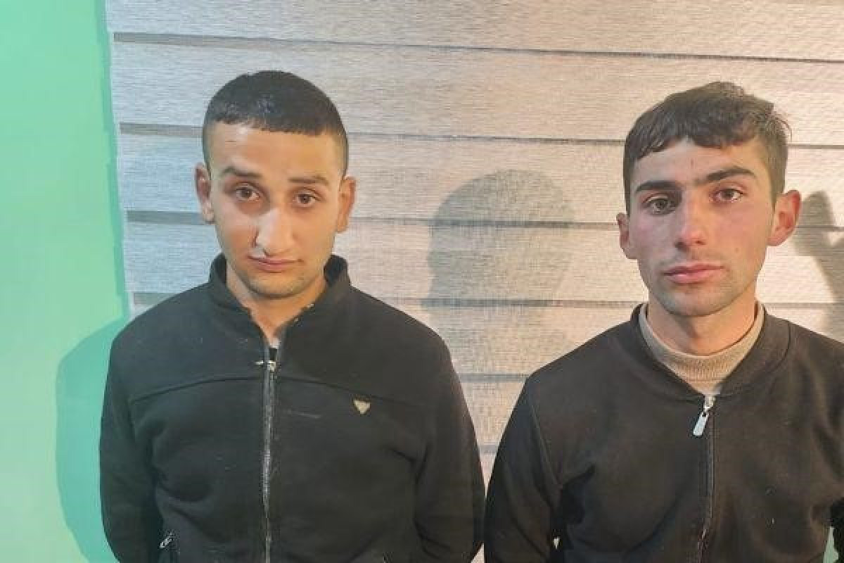 Двое армян, перешедших на территорию Азербайджана, переданы Армении