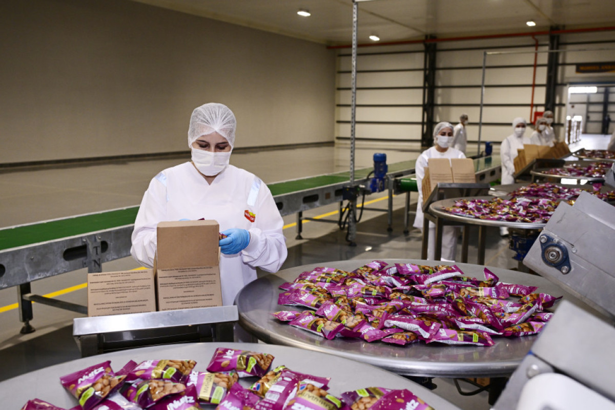 Алиев на открытии завода Nobel Food Industry-ФОТО 