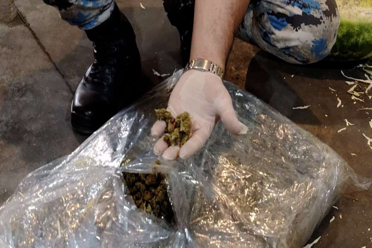 В Азербайджане пресечена попытка провоза марихуаны из Ирана в Россию