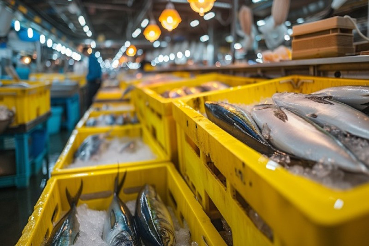 Китай намерен возобновить импорт японских морепродуктов