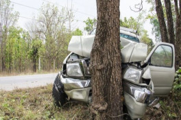 В Загатале "Mercedes" врезался в дерево: погиб человек