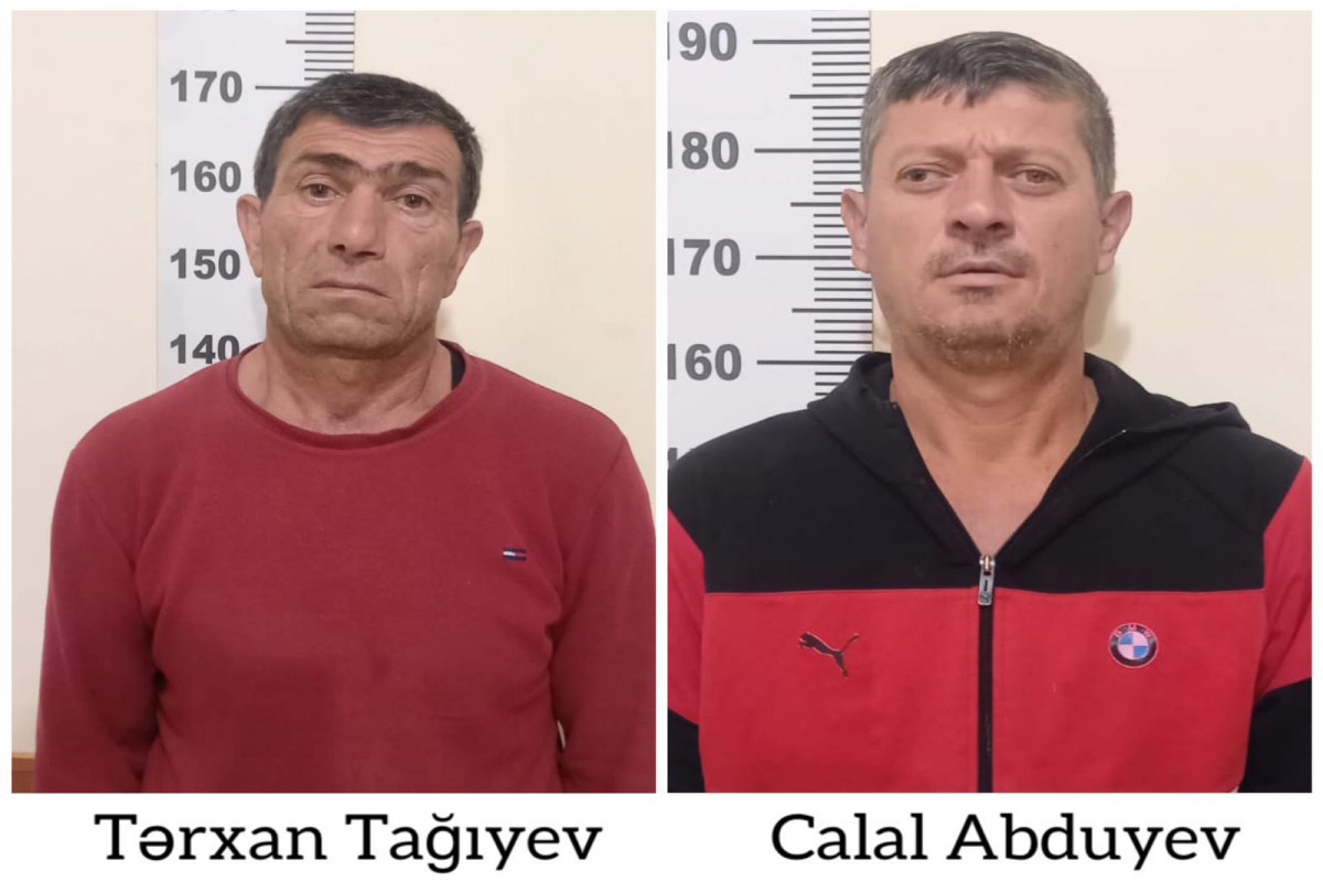 Полицейские нашли у жителей Евлаха целую плантацию конопли -ФОТО 