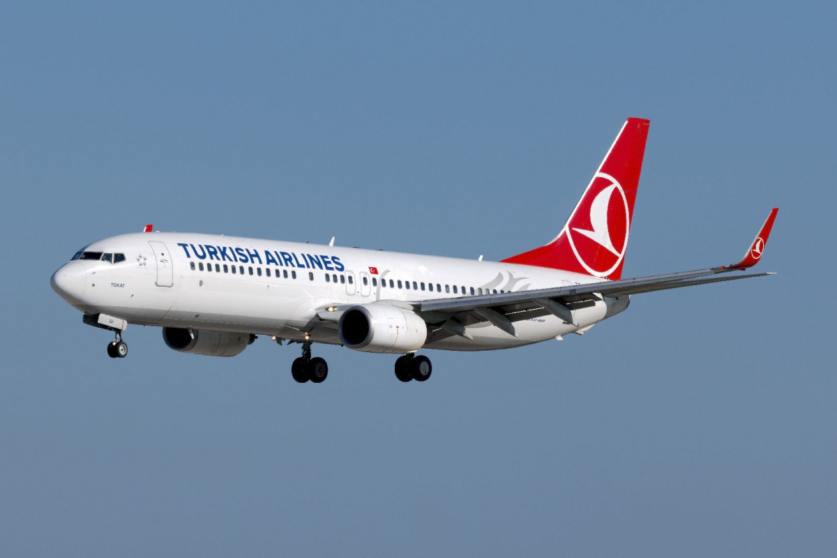Turkish Airlines отменила все рейсы в Россию
