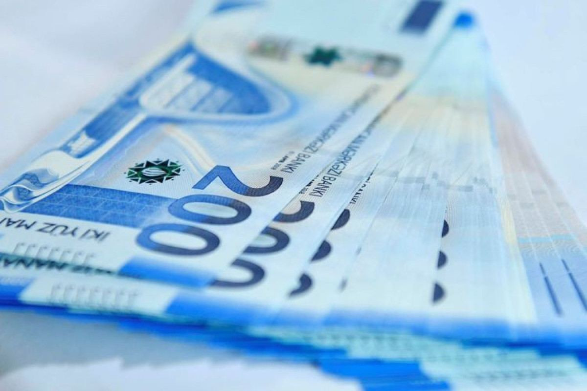 Минфин: партии без отчета о доходах останутся без финансирования
