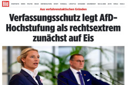 BILD: Статус АдГ как экстремистской приостановлен 