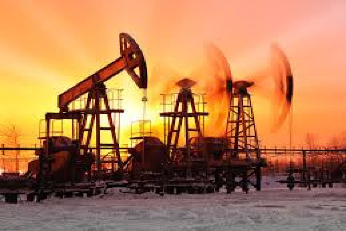 Колебания на рынке: Azeri Light прибавила в цене после снижения