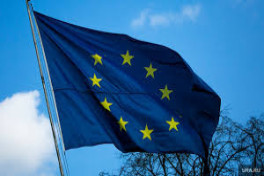 ЕС ждет переговоров в Турции, прежде чем обсудить санкции против РФ