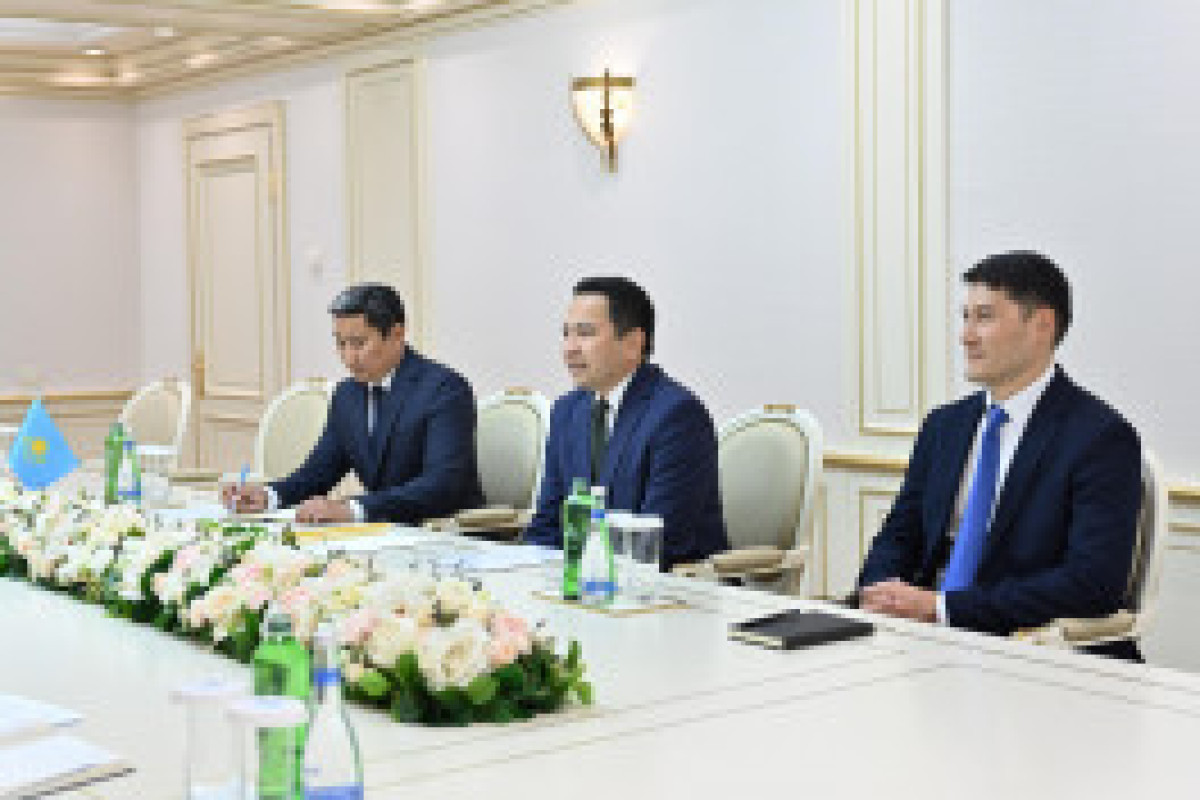 Сахиба Гафарова встретилась с послом Казахстана в Баку-ФОТО 