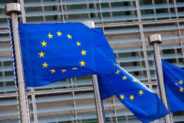ЕС приветствовал создание в Сирии органа по вопросам правосудия переходного периода