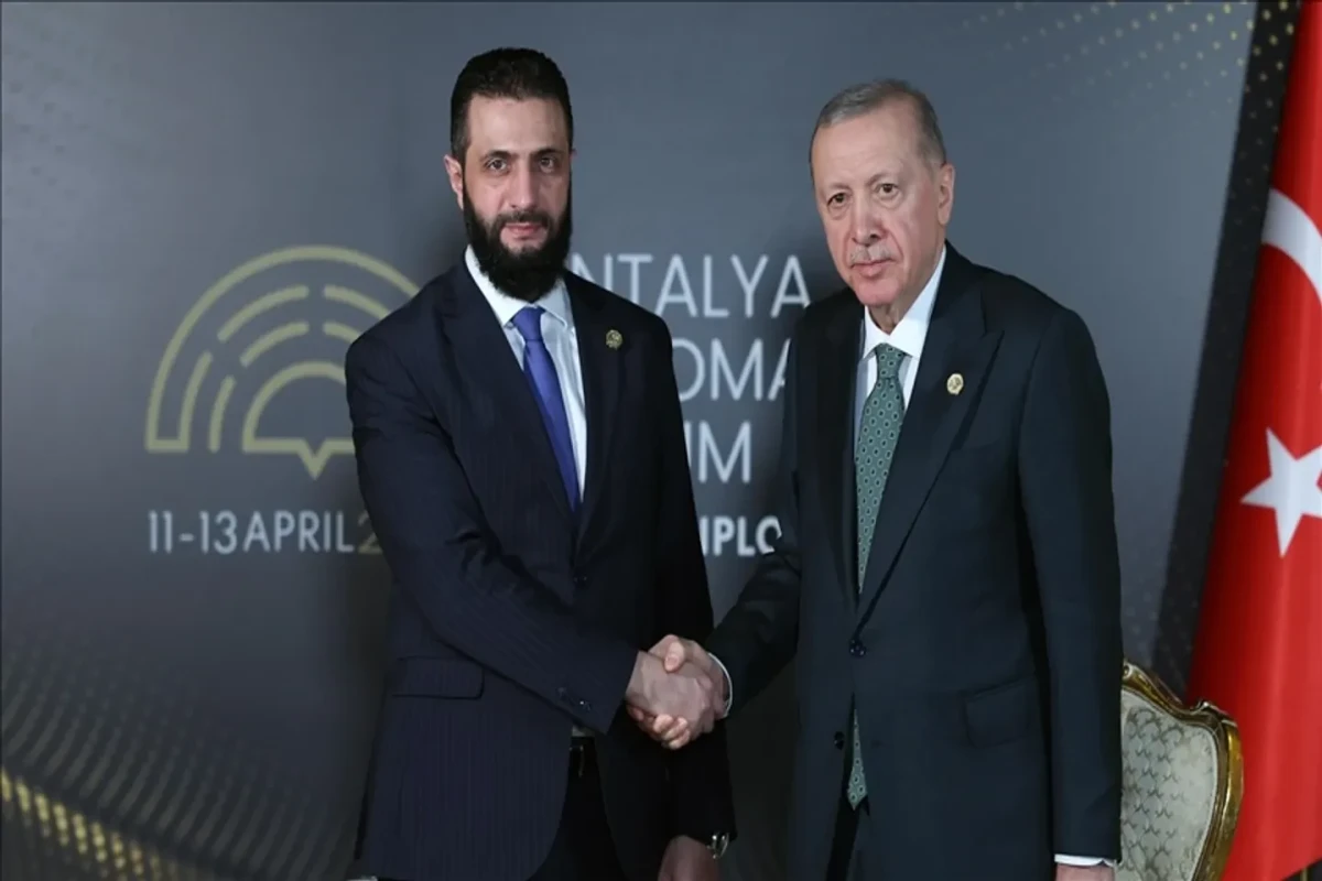 Эрдоган объявил о запуске программы поддержки Сирии