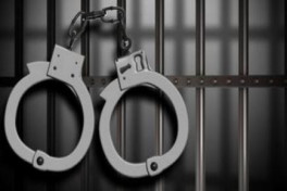 В Грузии в ходе операции против «воровского мира» убит вооруженный азербайджанец