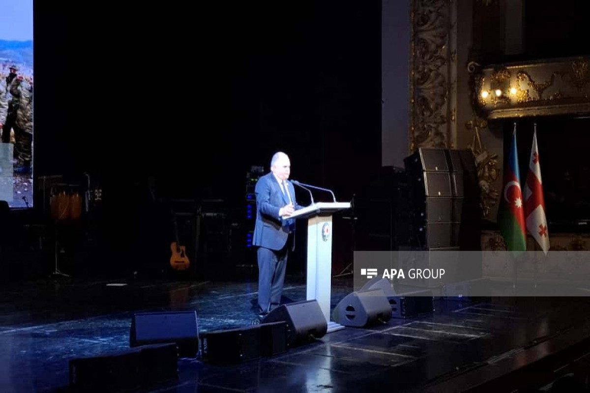 День Победы отпраздновали в Тбилиси концертом-ФОТО 