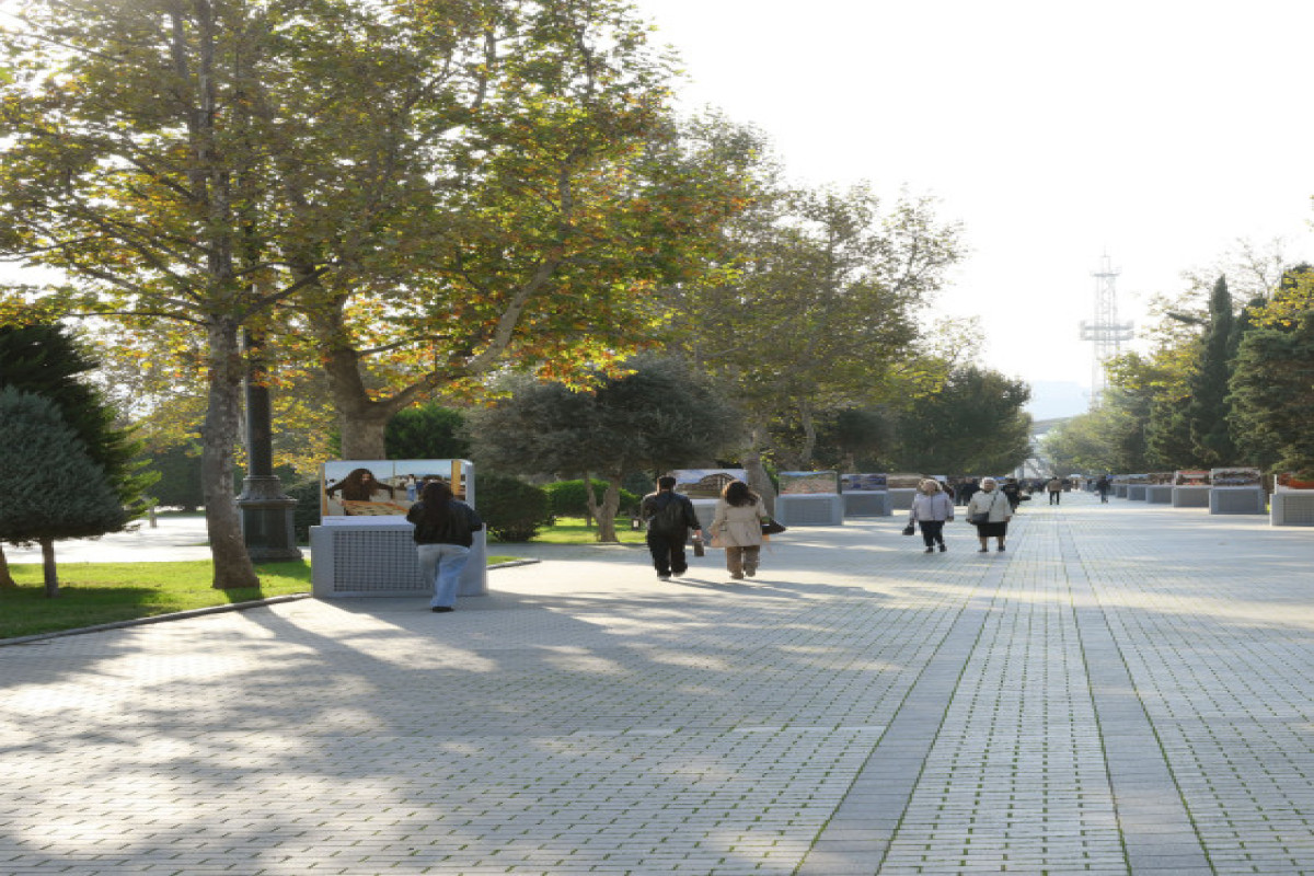 В Баку открылась фотовыставка «Великое возвращение по пути Победы»-ФОТО 