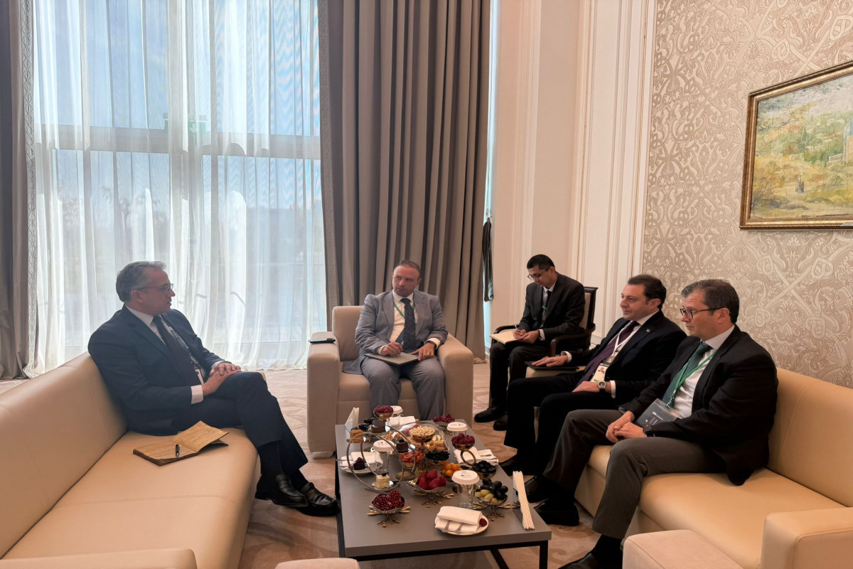 Эльнур Мамедов встретился с новым генеральным директором ЮНЕСКО-ФОТО 