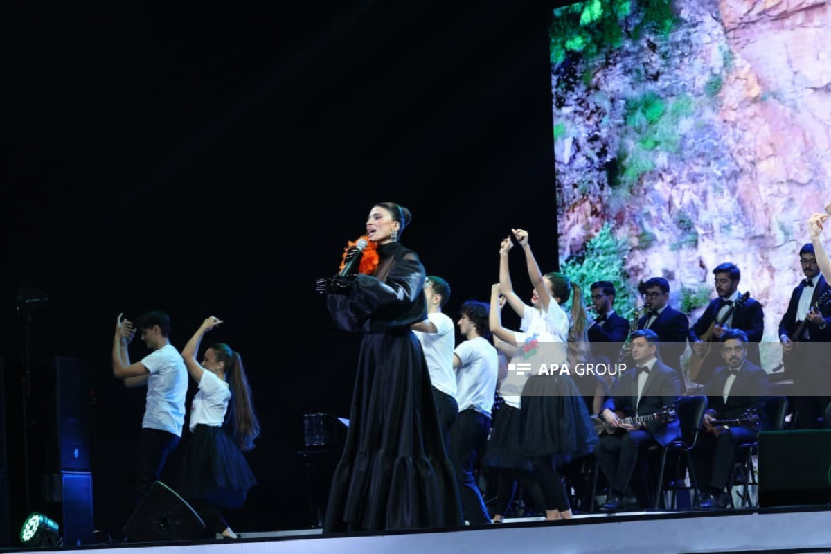 В Баку организованы концерт и салют в честь Дня Победы -ФОТО -ОБНОВЛЕНО 