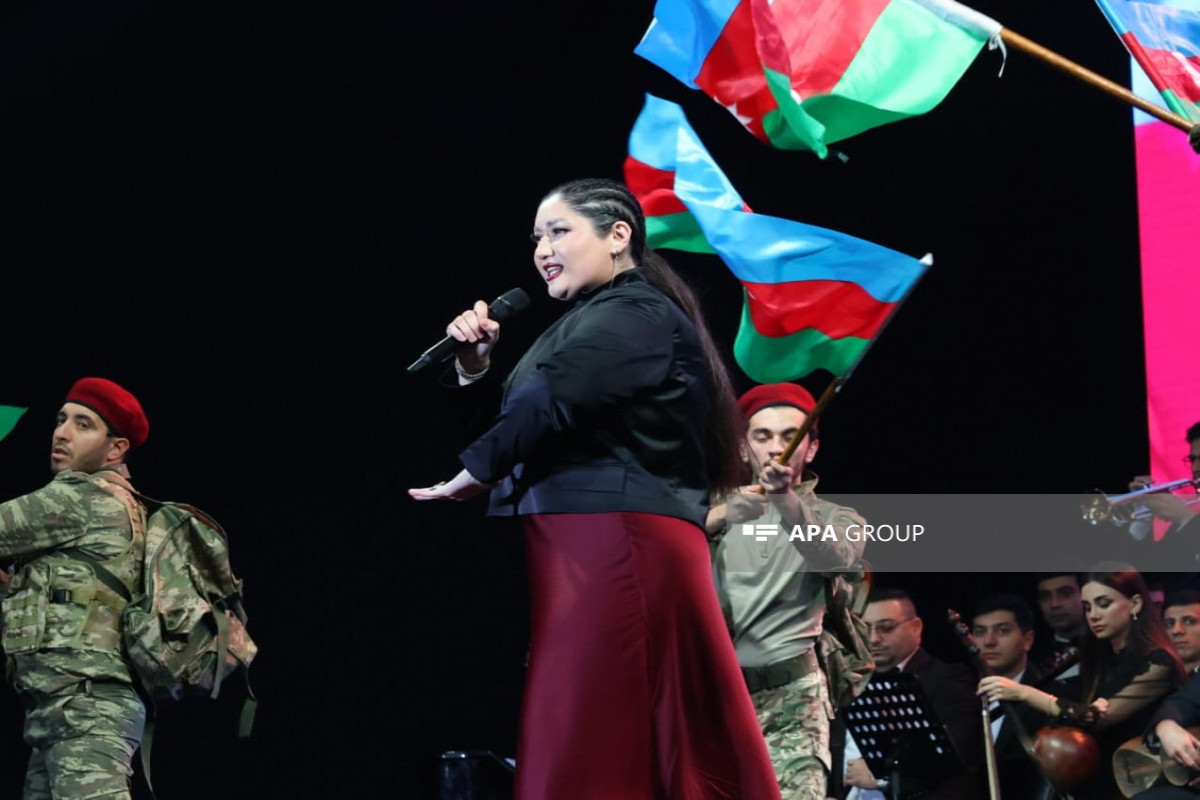 В Баку организованы концерт и салют в честь Дня Победы -ФОТО -ОБНОВЛЕНО 