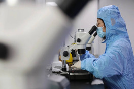 В Китае создали таблетки долголетия на основе виноградных косточек