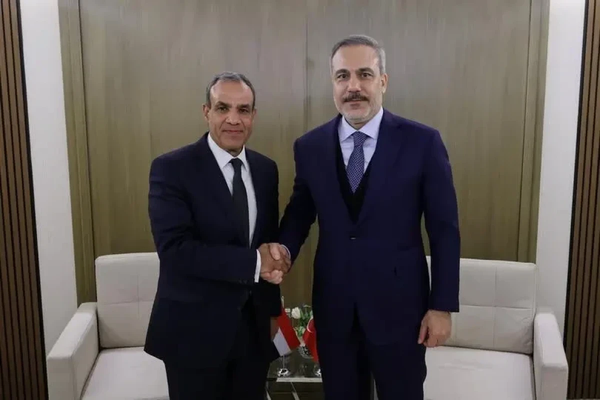 Главы МИД Турции и Египта обсудят в Анкаре ситуацию в Газе