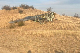 Самолет, летевший из Азербайджана в Турцию, разбился у границы с Грузией -ОБНОВЛЕНО -ВИДЕО 