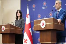 Главы МИД Турции и Грузии обсудили поисково-спасательные работы