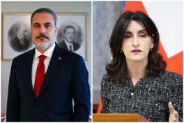 Главы МИД Турции и Грузии обсудили поисково-спасательные работы