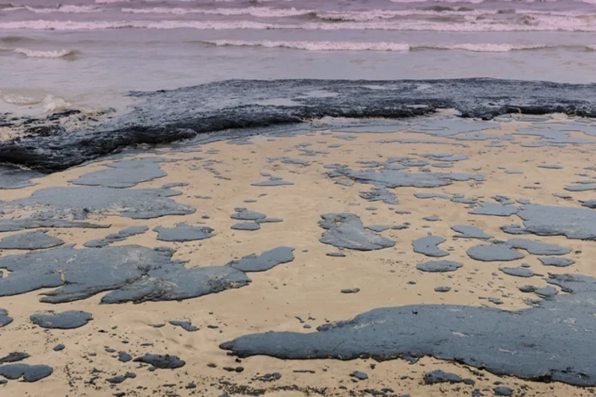 Черное море умирает медленно и красиво-ФОТО 