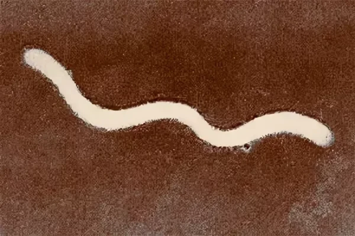 Черное море умирает медленно и красиво-ФОТО 