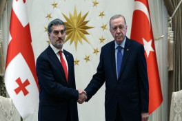 Эрдоган провёл телефонный разговор с Кавелашвили