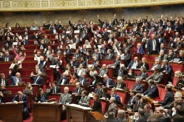 Нацсобрание Франции приостановило пенсионную реформу 