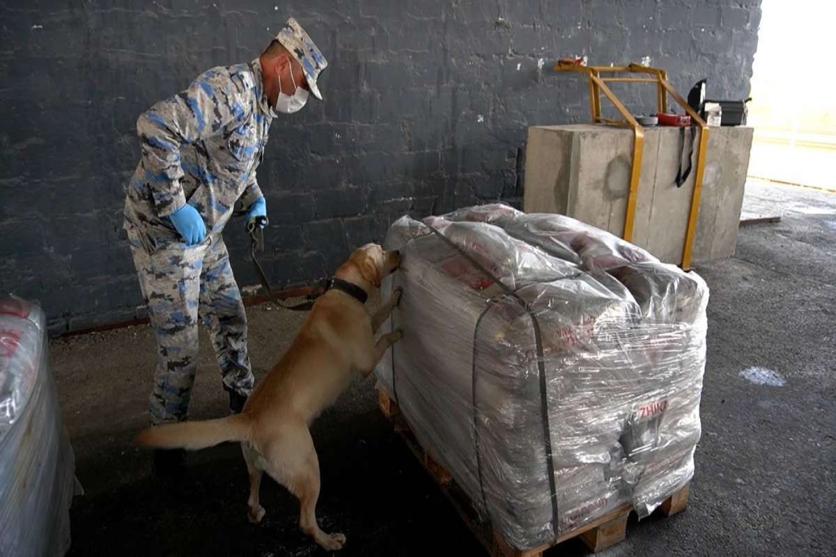 Героин на 90 млн долларов пытались провезти через Азербайджан в Эстонию-ФОТО 