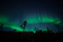 NYT: NASA отложили запуски спутников из-за магнитных бурь