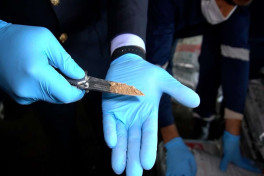 Героин на 90 млн долларов пытались провезти через Азербайджан в Эстонию-ФОТО 