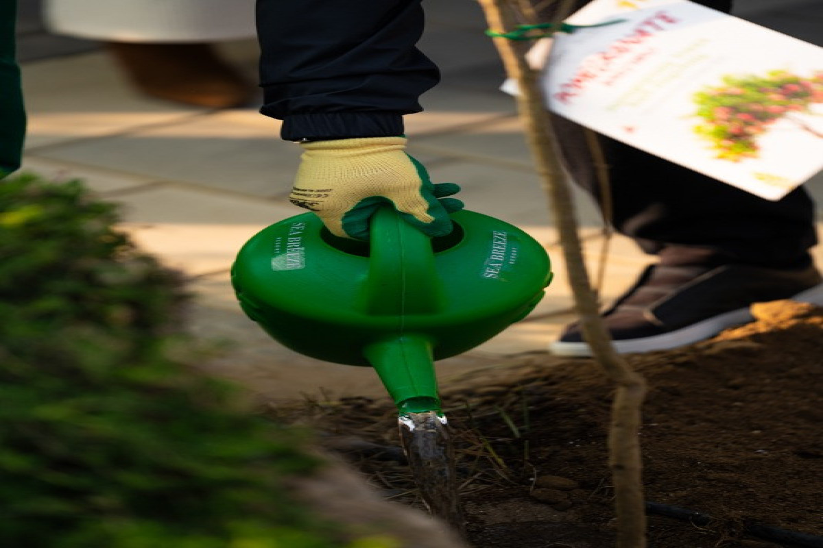 Лейла Алиева приняла участие в экологической акции в Sea Breeze-ФОТО 