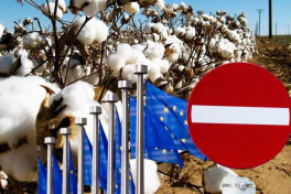 ЕС ввел санкции против узбекского бизнесмена Рустама Муминова