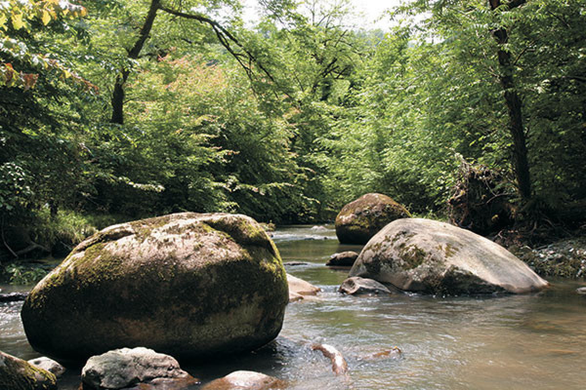 Определен правовой статус еще двух нацпарков Азербайджана