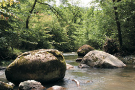 Определен правовой статус еще двух нацпарков Азербайджана