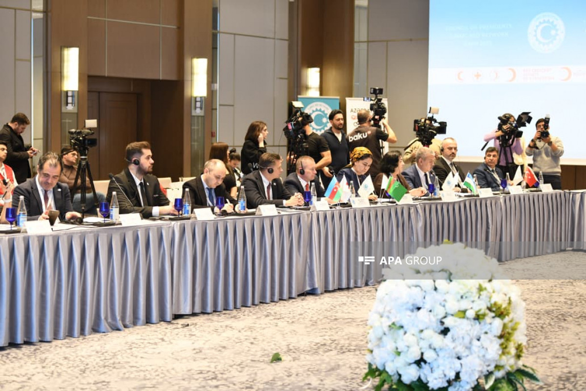 В Баку прошло заседание Сети Красного полумесяца стран ОТГ, принята Бакинская декларация-ФОТО 