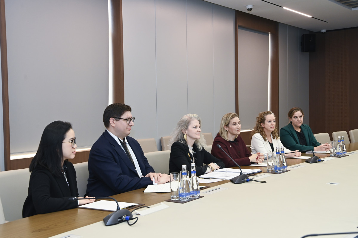 МИД Азербайджана и Госдеп обсудили мирный процесс и региональную стабильность