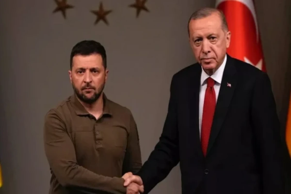 В Анкаре прошла встреча Зеленского и Эрдогана 