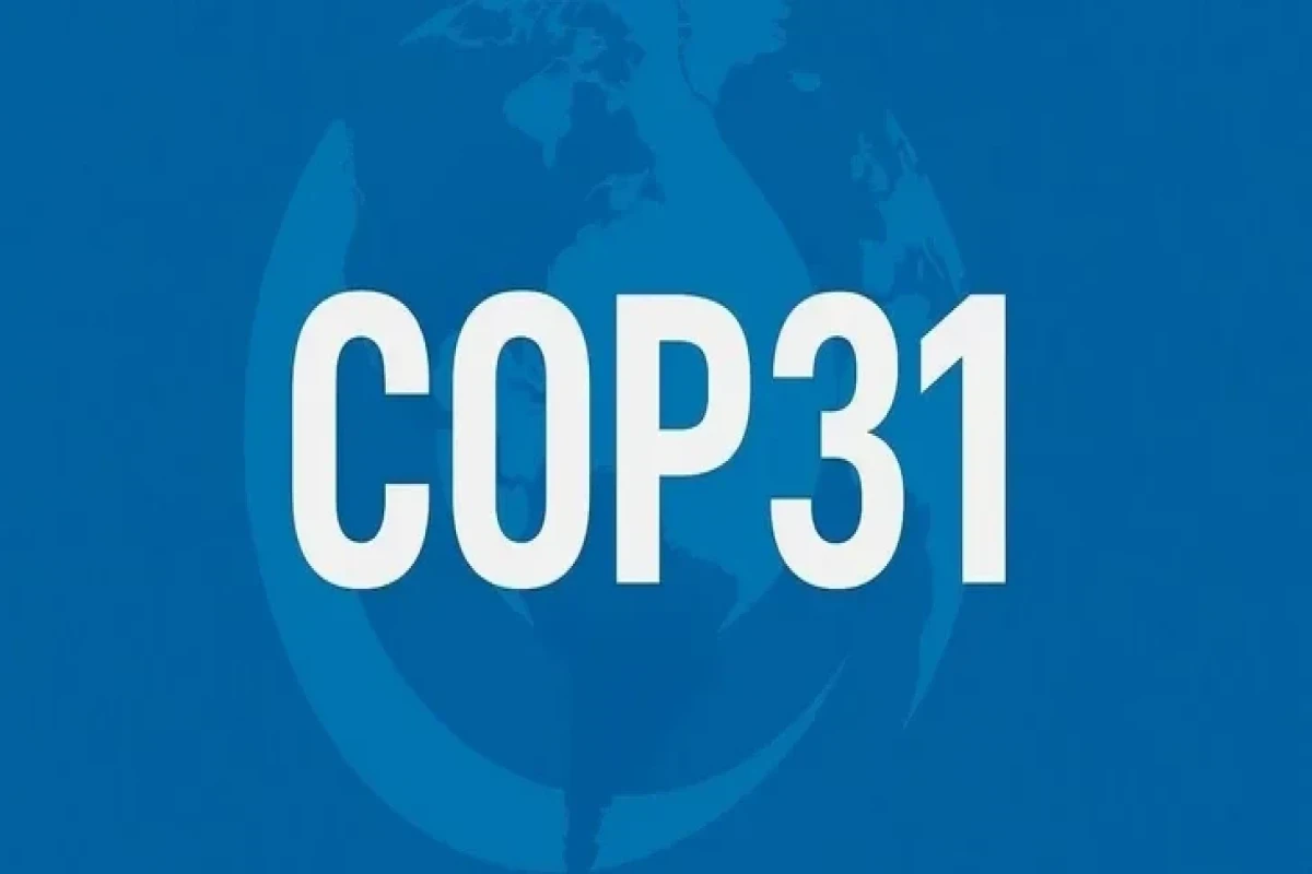 Страну-хозяйку COP31 определит Азербайджан 