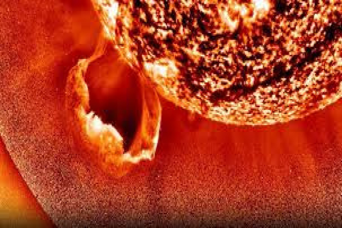 РАН: От Солнца оторвался гигантский протуберанец