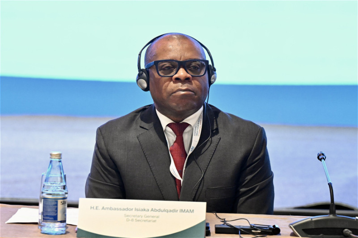 Генсек D-8: Организации необходимо укреплять позиции в глобальном инфопространстве