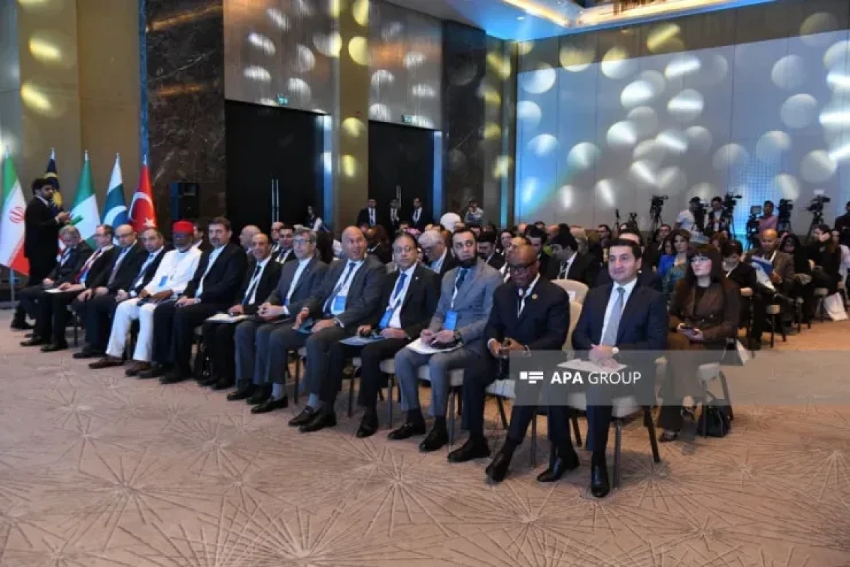 В Баку проходит открытие Медиа-форума D-8 о диалоге и сотрудничестве-ФОТО 