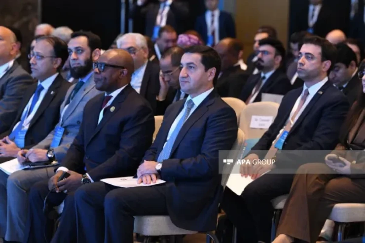 В Баку проходит открытие Медиа-форума D-8 о диалоге и сотрудничестве-ФОТО 