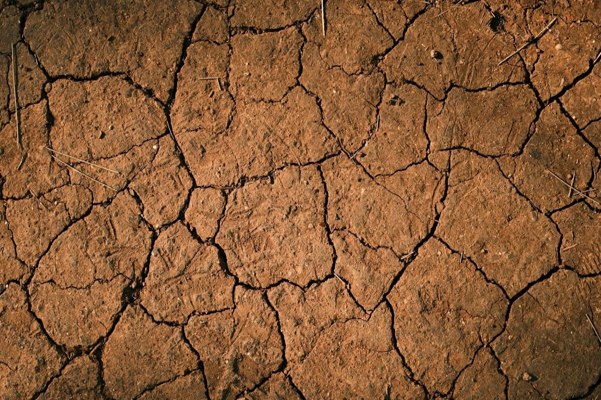 Ученые бьют тревогу: разломы в Конго могут уничтожить целые районы