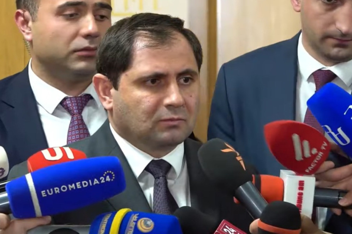 Папикян объяснил разницу между боеспособностью и обороноспособностью армии